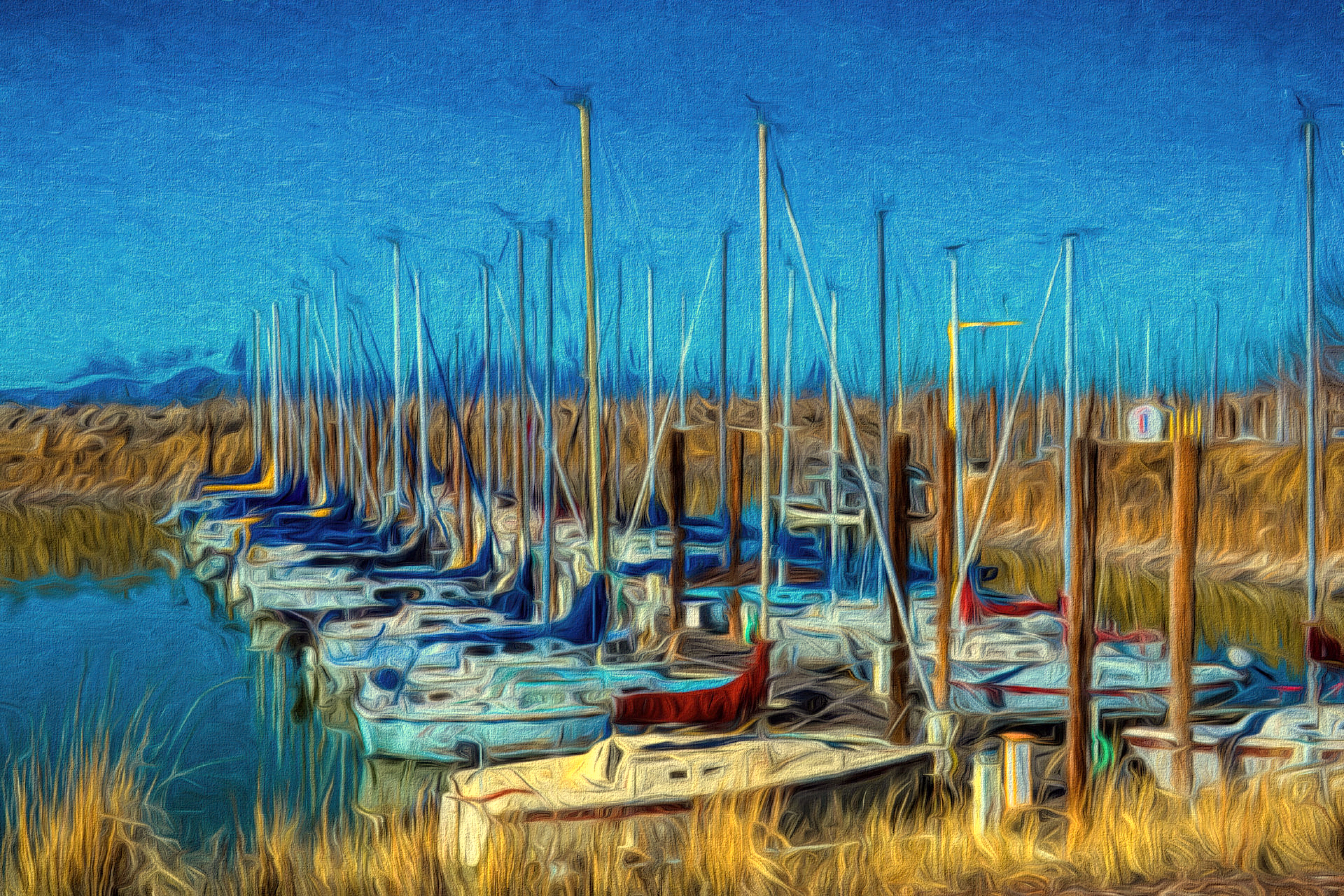 Boats in the Marina 47